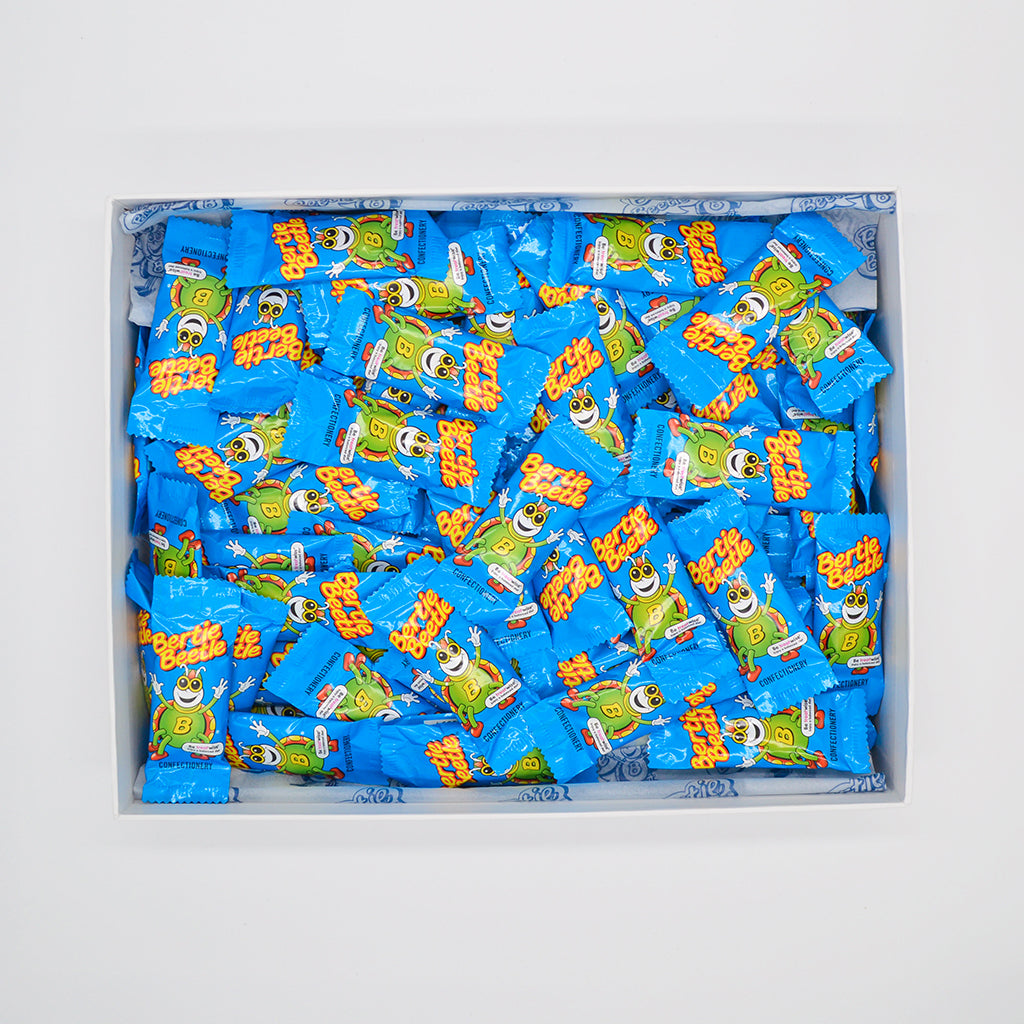 The Bertie Beetle Carry All Box